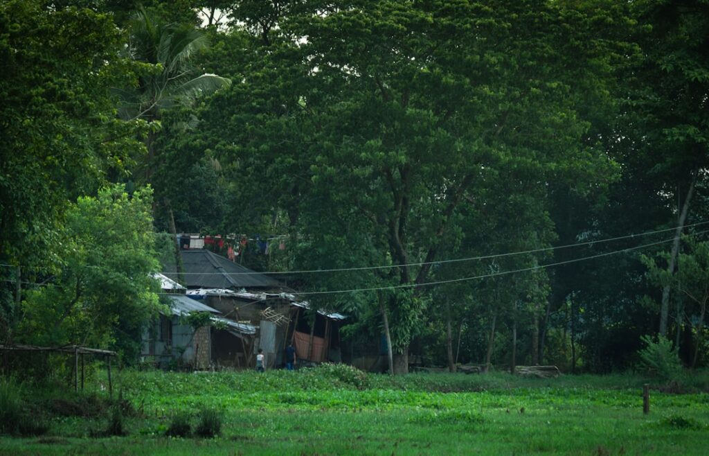 découvrez l'authenticité et la beauté des paysages pittoresques à travers le charme rural. plongez dans un mode de vie tranquille où la nature rencontre la tradition, offrant une escapade parfaite loin de l'agitation urbaine.