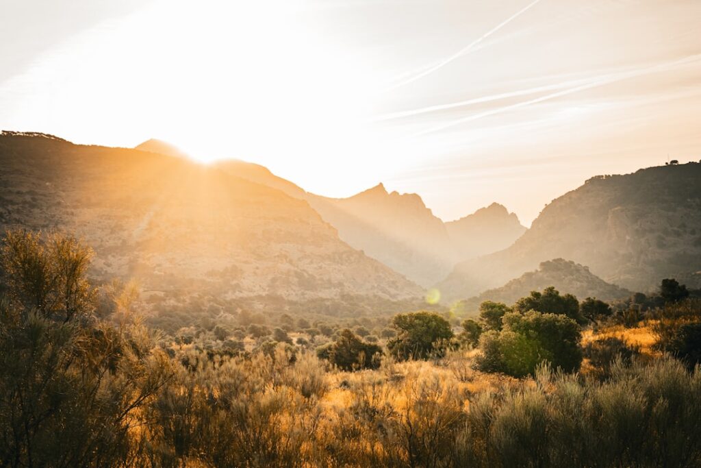 découvrez l’andalousie, une région envoûtante du sud de l’espagne, réputée pour ses villes historiques, sa culture flamenco, ses paysages variés et sa délicieuse gastronomie. partez à la découverte de séville, cordoue, grenade et profitez d’une expérience inoubliable en andalousie !
