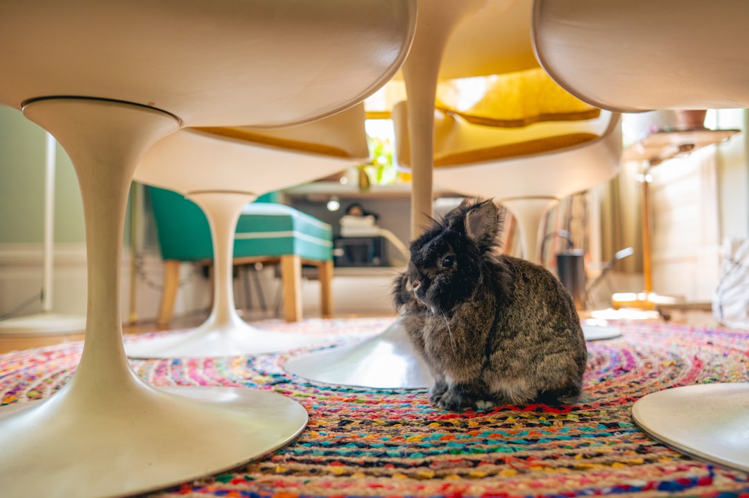 découvrez notre sélection d'hôtels accueillant les animaux de compagnie. profitez d'un séjour confortable et sans souci avec votre animal dans des établissements adaptés à tous vos besoins.