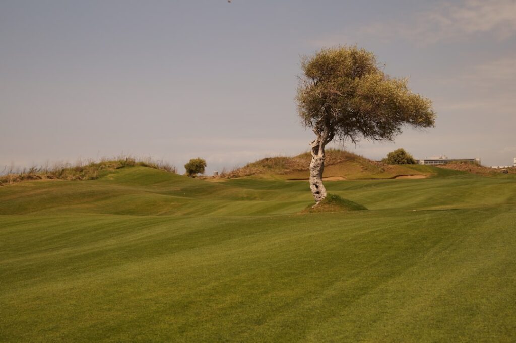 découvrez les meilleures offres de vacances de golf en espagne, avec des parcours exceptionnels, des paysages magnifiques et un climat idéal toute l'année.